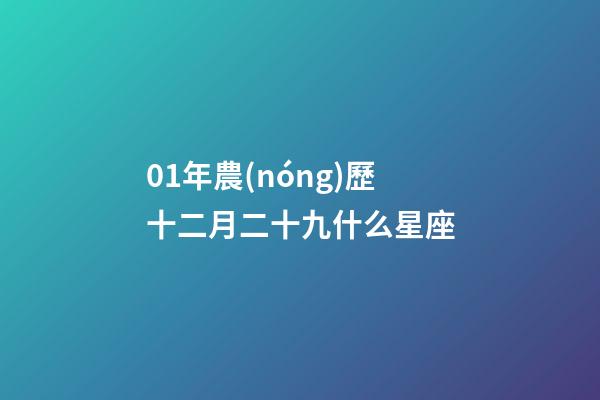 01年農(nóng)歷十二月二十九什么星座-第1張-星座運(yùn)勢(shì)-玄機(jī)派