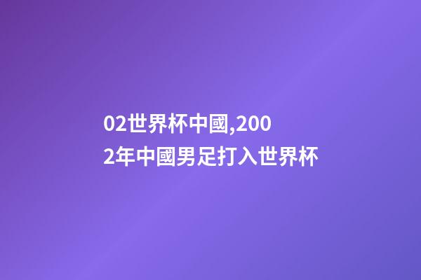 02世界杯中國,2002年中國男足打入世界杯-第1張-觀點-玄機派