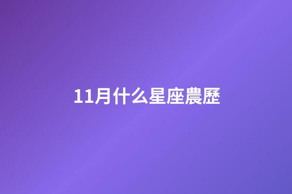 11月什么星座農歷-第1張-星座運勢-玄機派