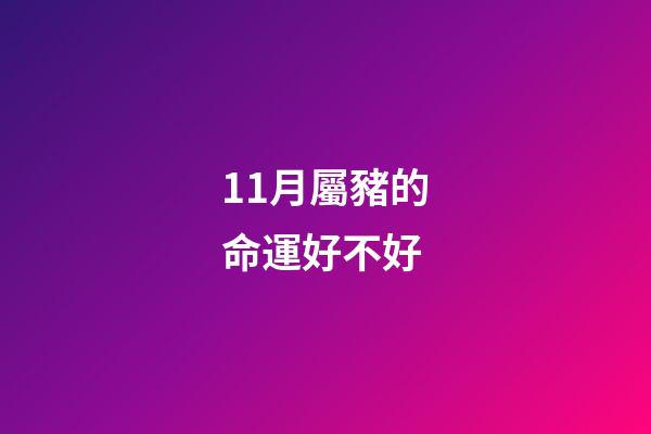 11月屬豬的命運好不好(這個月出生的生肖最好命，貴人運極旺，名利雙收!你是嗎？)-第1張-觀點-玄機派