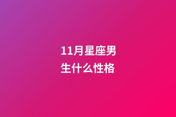 11月星座男生什么性格-第1張-星座運勢-玄機派