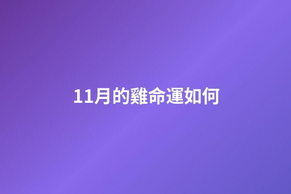 11月的雞命運如何(12 月 中 旬 蛋 價 走 低，需 求 走 弱)-第1張-觀點-玄機派