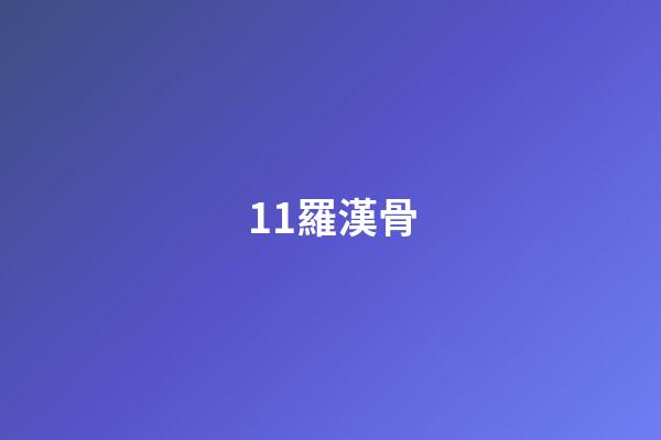 11.羅漢骨