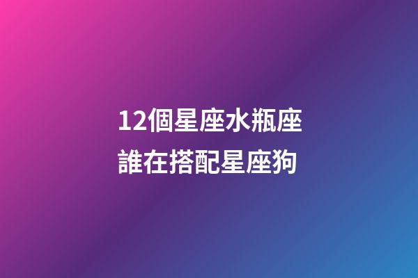 12個星座水瓶座誰在搭配星座狗-第1張-星座運勢-玄機派