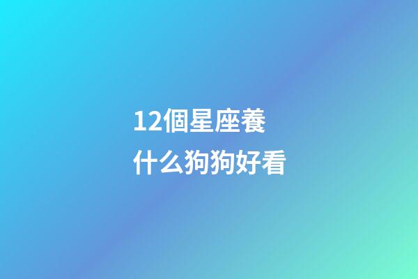 12個星座養什么狗狗好看-第1張-星座運勢-玄機派