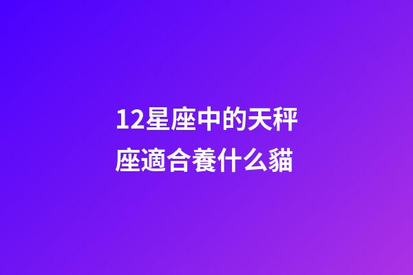 12星座中的天秤座適合養什么貓-第1張-星座運勢-玄機派