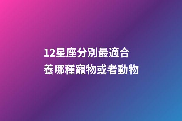 12星座分別最適合養哪種寵物或者動物-第1張-星座運勢-玄機派