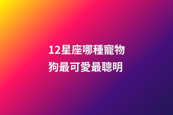 12星座哪種寵物狗最可愛最聰明-第1張-星座運勢-玄機派