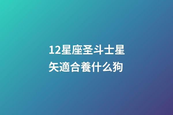 12星座圣斗士星矢適合養什么狗-第1張-星座運勢-玄機派