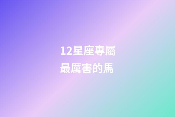 12星座專屬最厲害的馬-第1張-星座運勢-玄機派