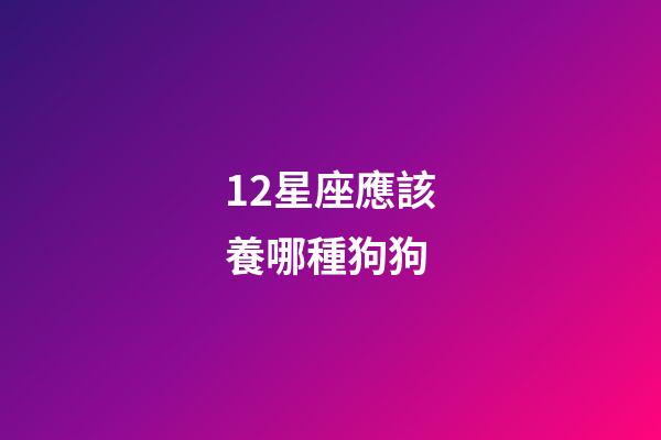 12星座應該養哪種狗狗-第1張-星座運勢-玄機派