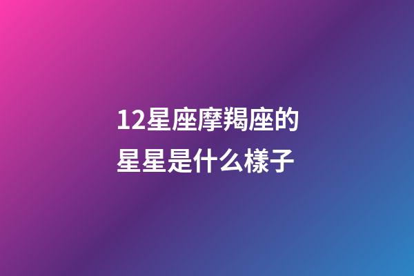 12星座摩羯座的星星是什么樣子-第1張-星座運勢-玄機派