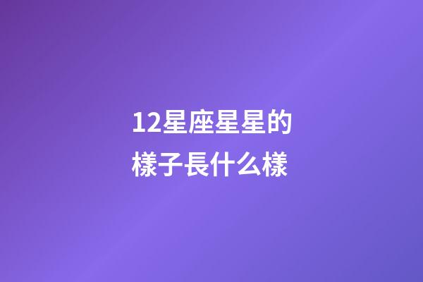 12星座星星的樣子長什么樣-第1張-星座運(yùn)勢-玄機(jī)派