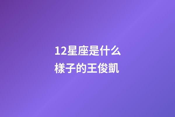 12星座是什么樣子的王俊凱-第1張-星座運勢-玄機派