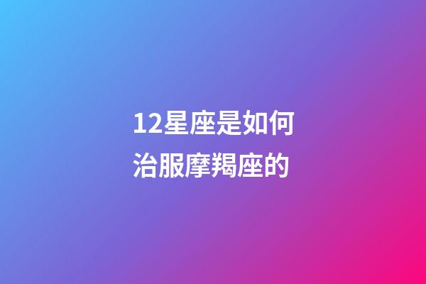 12星座是如何治服摩羯座的-第1張-星座運(yùn)勢-玄機(jī)派