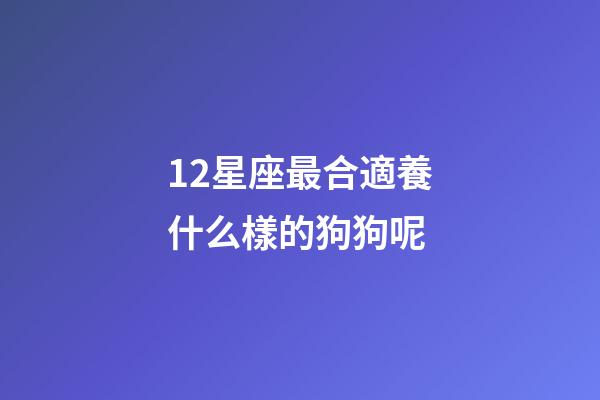 12星座最合適養什么樣的狗狗呢-第1張-星座運勢-玄機派