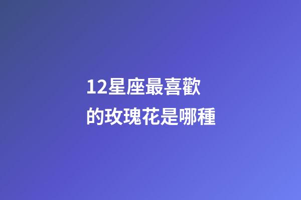 12星座最喜歡的玫瑰花是哪種-第1張-星座運勢-玄機(jī)派