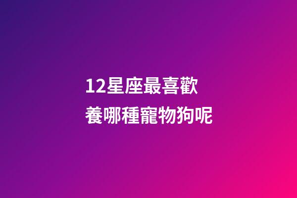 12星座最喜歡養哪種寵物狗呢-第1張-星座運勢-玄機派
