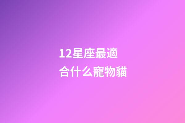 12星座最適合什么寵物貓-第1張-星座運勢-玄機派