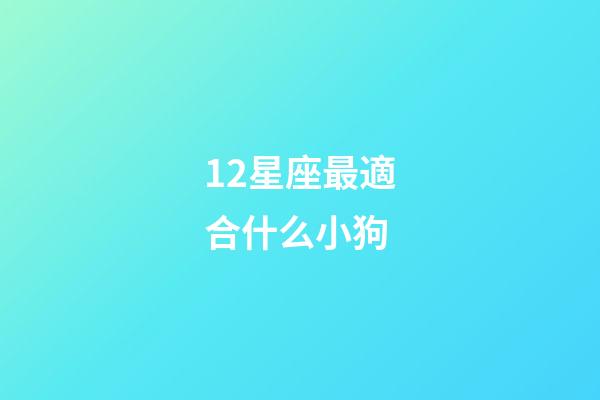 12星座最適合什么小狗-第1張-星座運勢-玄機派