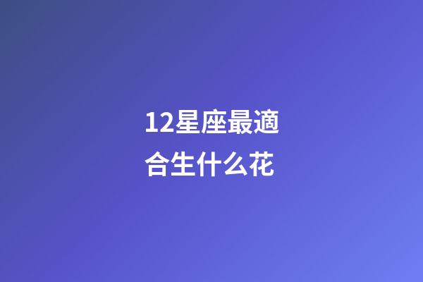 12星座最適合生什么花-第1張-星座運(yùn)勢(shì)-玄機(jī)派