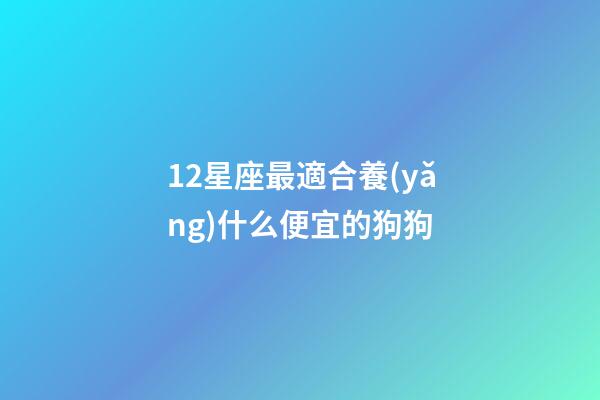 12星座最適合養(yǎng)什么便宜的狗狗-第1張-星座運(yùn)勢(shì)-玄機(jī)派