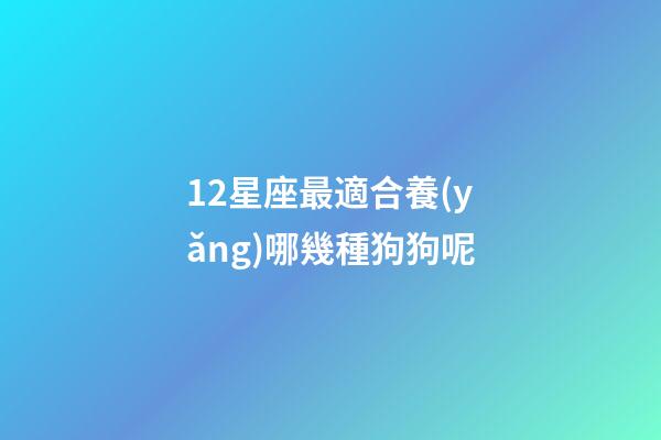 12星座最適合養(yǎng)哪幾種狗狗呢-第1張-星座運(yùn)勢(shì)-玄機(jī)派
