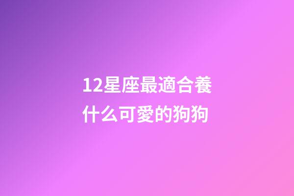 12星座最適合養什么可愛的狗狗-第1張-星座運勢-玄機派