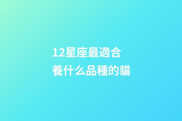 12星座最適合養什么品種的貓-第1張-星座運勢-玄機派