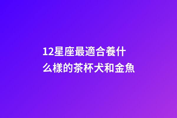 12星座最適合養什么樣的茶杯犬和金魚-第1張-星座運勢-玄機派