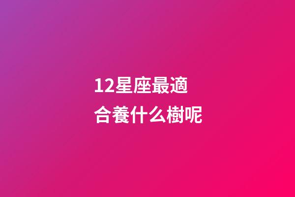 12星座最適合養什么樹呢-第1張-星座運勢-玄機派