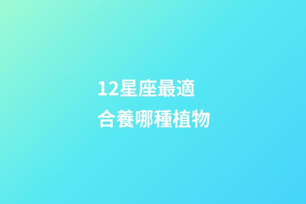 12星座最適合養哪種植物-第1張-星座運勢-玄機派