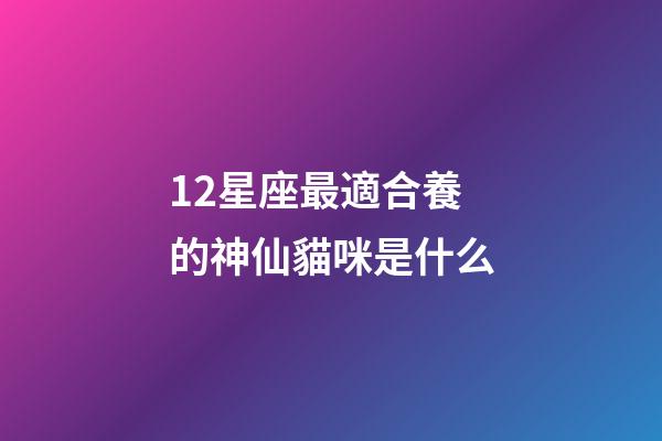 12星座最適合養的神仙貓咪是什么-第1張-星座運勢-玄機派