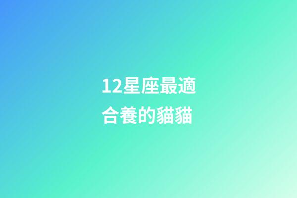 12星座最適合養的貓貓-第1張-星座運勢-玄機派