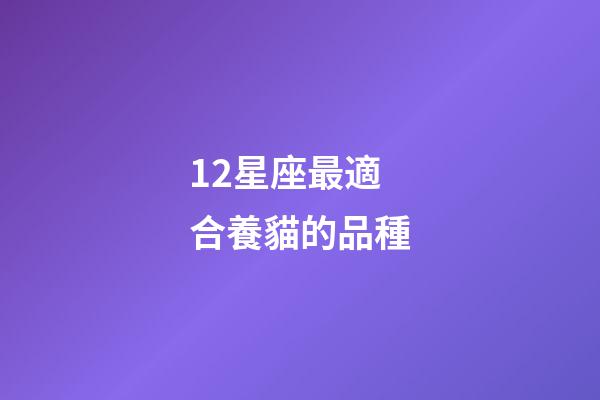 12星座最適合養貓的品種-第1張-星座運勢-玄機派
