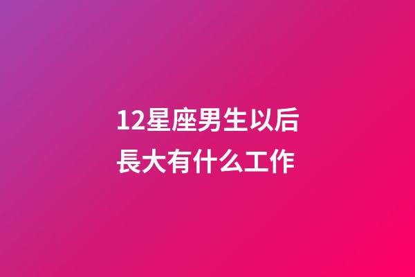12星座男生以后長大有什么工作-第1張-星座運勢-玄機派