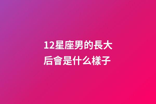 12星座男的長大后會是什么樣子-第1張-星座運勢-玄機派