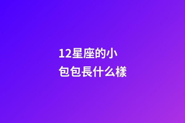 12星座的小包包長什么樣-第1張-星座運勢-玄機派