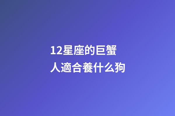 12星座的巨蟹人適合養什么狗-第1張-星座運勢-玄機派