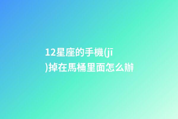 12星座的手機(jī)掉在馬桶里面怎么辦-第1張-星座運(yùn)勢(shì)-玄機(jī)派