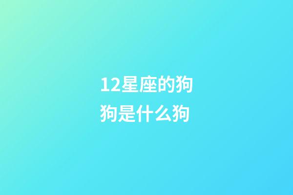 12星座的狗狗是什么狗-第1張-星座運勢-玄機派