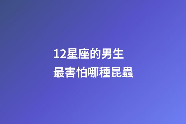 12星座的男生最害怕哪種昆蟲-第1張-星座運勢-玄機派