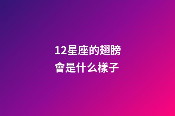 12星座的翅膀會是什么樣子-第1張-星座運勢-玄機派