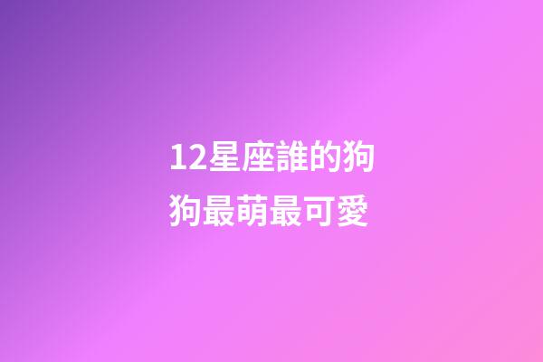 12星座誰的狗狗最萌最可愛-第1張-星座運勢-玄機派