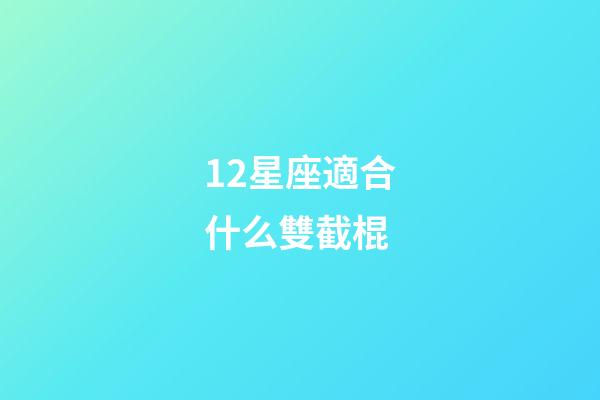 12星座適合什么雙截棍-第1張-星座運勢-玄機派
