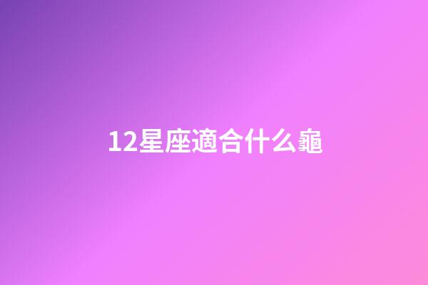 12星座適合什么龜-第1張-星座運勢-玄機派