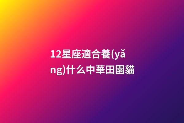 12星座適合養(yǎng)什么中華田園貓
