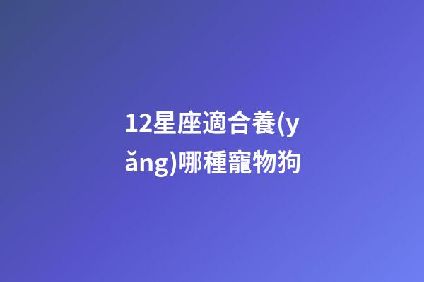 12星座適合養(yǎng)哪種寵物狗-第1張-星座運(yùn)勢(shì)-玄機(jī)派