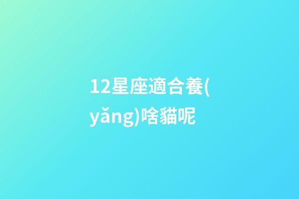 12星座適合養(yǎng)啥貓呢-第1張-星座運(yùn)勢-玄機(jī)派