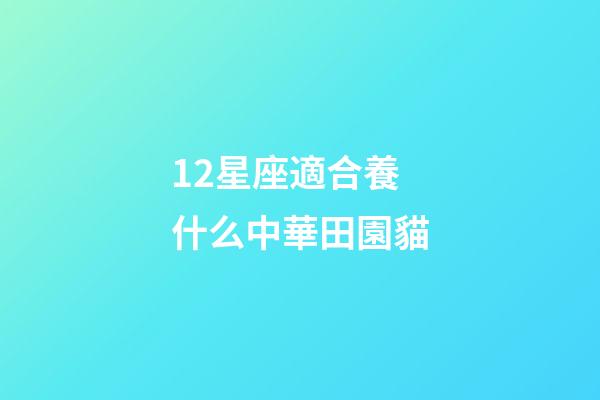 12星座適合養什么中華田園貓-第1張-星座運勢-玄機派